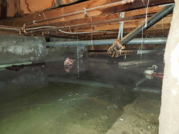 Best Flood damage cleanup  in Apple Valley, UT