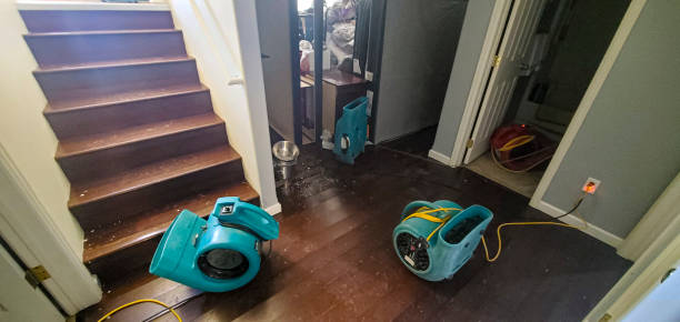 Best Residential water damage restoration  in Apple Valley, UT