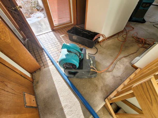 Best Water damage repair service  in Apple Valley, UT