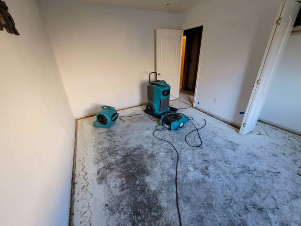 Best Mold removal after water damage  in Apple Valley, UT