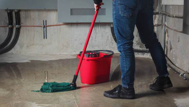 Best Water damage restoration near me  in Apple Valley, UT