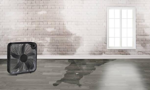 Best 24/7 water damage repair  in Apple Valley, UT