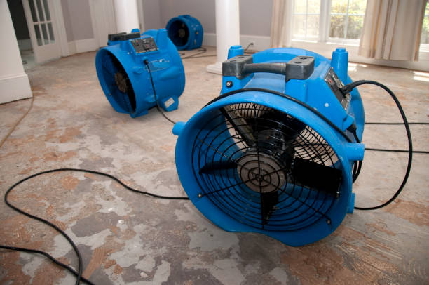 Best Carpet water damage restoration  in Apple Valley, UT