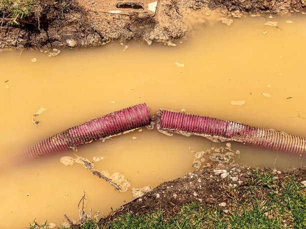 Best Local water damage restoration  in Apple Valley, UT