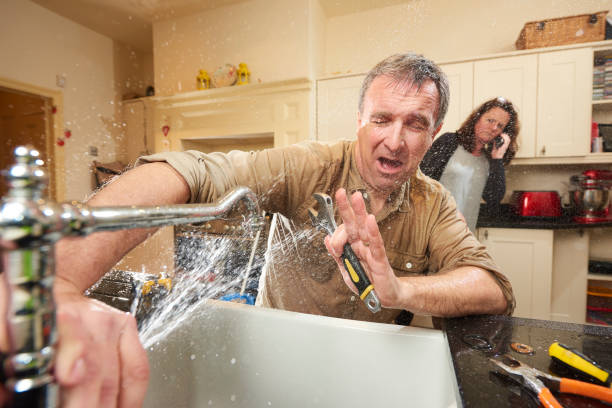 Best Professional water damage repair  in Apple Valley, UT